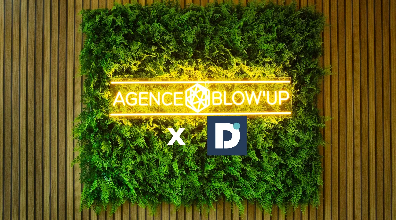 Image illustrant le projet Dolibarr — Agence Blow'Up