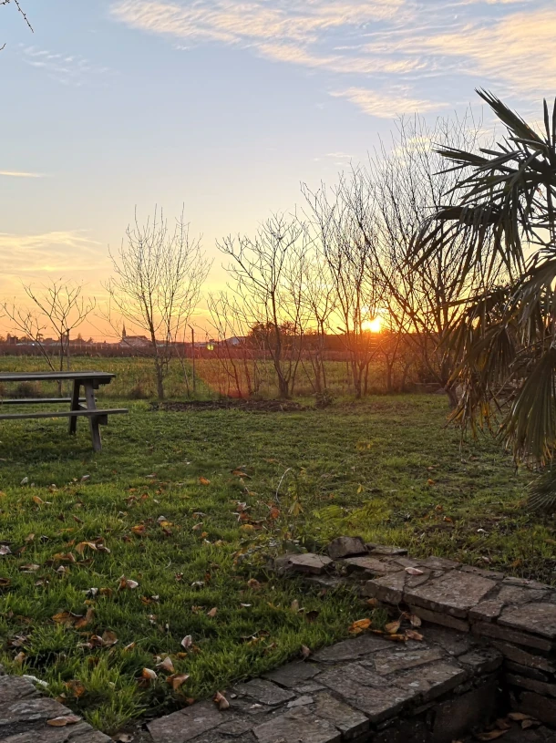 Photo d'un coucher de soleil depuis mon jardin